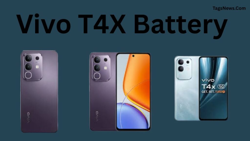 Vivo T4X Battery 