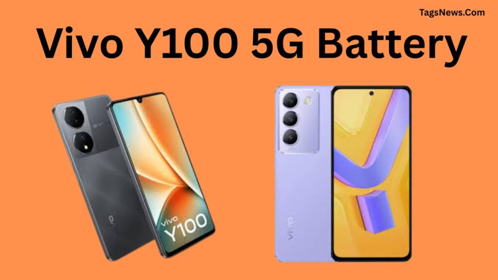 Vivo Y100 5G Battery 